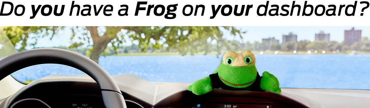 Preston Frog Preston Auto Body in Preston MD
